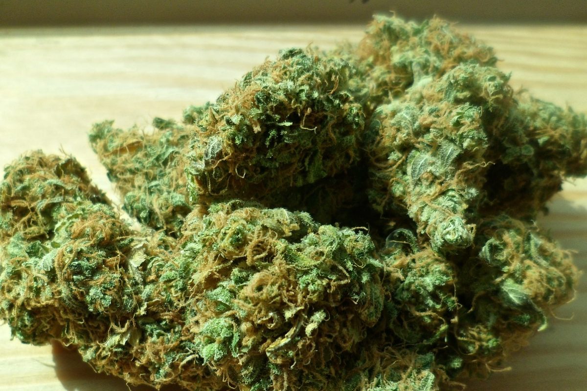 Top Tips for Finding High-Quality Marijuana