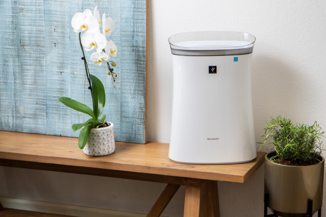 All You Need to Know About Home Air Purification