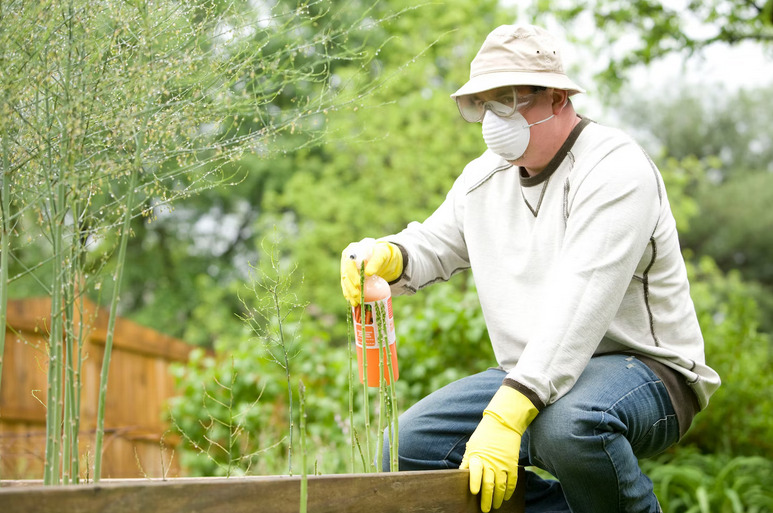 Top 5 Signs You Need to Call in Pest Control Experts