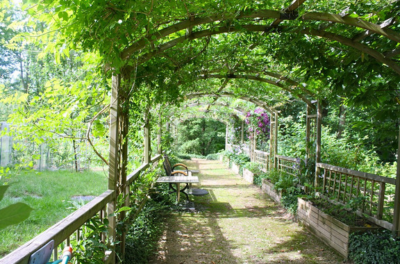 pergola